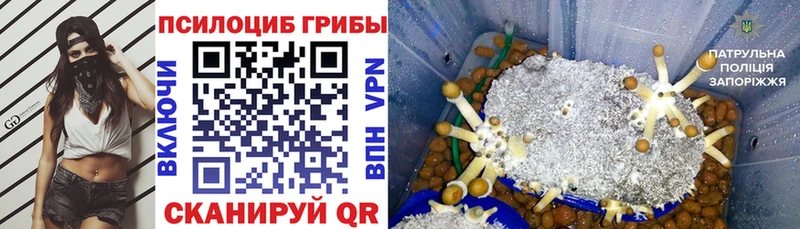 Галлюциногенные грибы Magic Shrooms  hydra   Киренск 