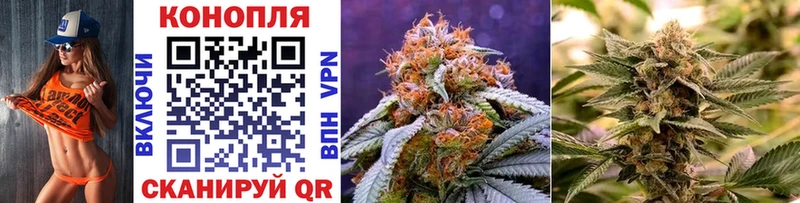 kraken вход  Киренск  Бошки Шишки гибрид  купить закладку 